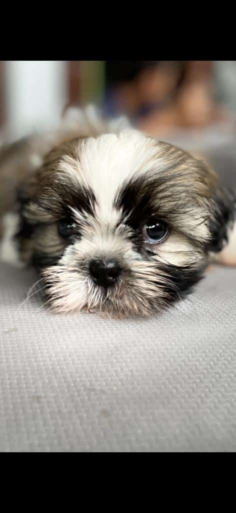 Order – juillet 13, 2022 @ 01:12